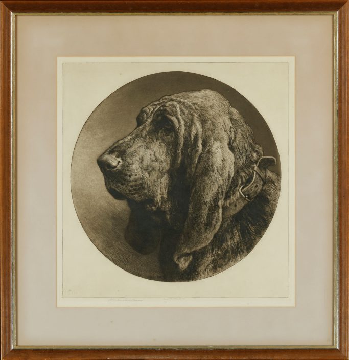 Look for etching of a bloodhound by Herbert Dicksee for sale.