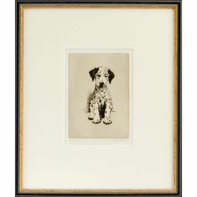 Find a copy of the signed etching of the Dalmatian Puppy by Cecil Aldin for sale.y